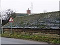 Roadside roof, George Lane
