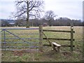 Stile and gate near Sharp