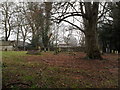 The churchyard at St Matthew, Blackmoor (10)