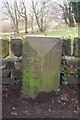 Boundary Stone, Ben Lane, Loxley, Sheffield