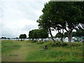 Chalets and trees above Dunster Beach