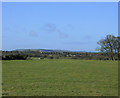 2010 : West from the A4 near Saltford