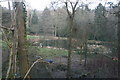 Landscaped pond in the grounds of Barton St Mary