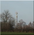 Close up of the Mast near Brambletye School