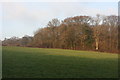 Small woodland on the edge of Brambletye School