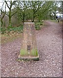 SO8383 : Triangulation pillar on the Staffordshire Way, Kinver Edge looking south-southwest by P L Chadwick
