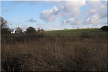 SP3475 : Field south of A45 Stonebridge Highway by Robin Stott