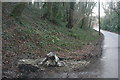 The last bit of snow! Forest Way