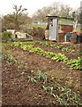 Allotment shed, Wimborne Minster