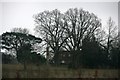 Pierce Barn in the trees