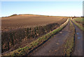 Track Through Farmland, Inchinnan