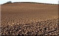 Ploughed Field,  Inchinnan