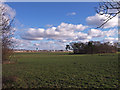 Farmland, Inchinnan