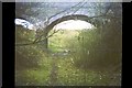 Footbridge across former Halesowen Railway