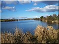 View of the Craigavon Lakes in the City Park