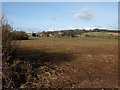 Field near Higher Lovelynch