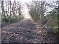 Bridleway through Mercer Wood