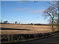 Stubble field at Collace