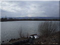 Reservoir near Ponthir