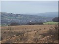 Winchcombe from the Salt Way