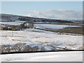 West Allen Dale - Black Cleugh Farm