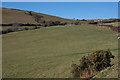 Fields above Aberdyfi