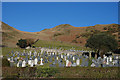 Aberdyfi cemetery