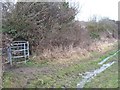 Path leaves the bridleway