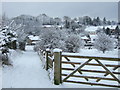 Byway in the allotments, Hindon