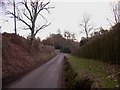 Frensham Lane near Linsted Farm