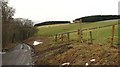 Footpath sign, Middletoun