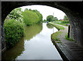 Shropshire Union Canal at Nantwich, Cheshire