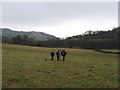 Fields near Cwmyoy