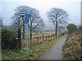 Cycleway and footpath to Newstead