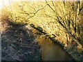 Stream near Sparcells, Swindon