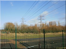 ST3486 : Two pylons north of Queensway Meadows, Newport by Jaggery