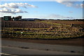 View of Unthank Nurseries, Brechin