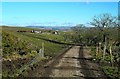 A February Farm Road