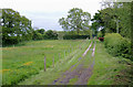 Farm track near Stoneley Green, Cheshire