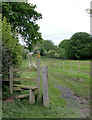 Stile and track near Stoneley Green, Cheshire