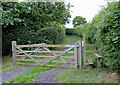 Track to Stoneley Green, Cheshire