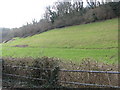 Valley side at Branscombe