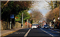 The Stranmillis Road, Belfast (3)