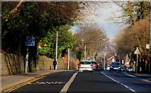 J3371 : The Stranmillis Road, Belfast (3) by Albert Bridge