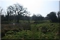 Rough grassland, Thompson Common