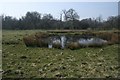 Small pingo in open landscape