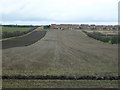 Farmland off Pinfold Lane, Bridlington