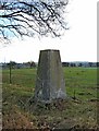 Triangulation pillar, Hartlebury Common