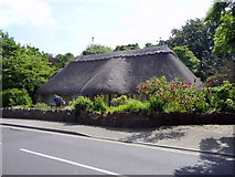 SZ5880 : Thatched House, Shanklin Old Village, Isle of Wight by Christine Matthews