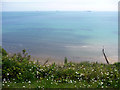 Cliff top near Appleby Steps, Shanklin, Isle of Wight